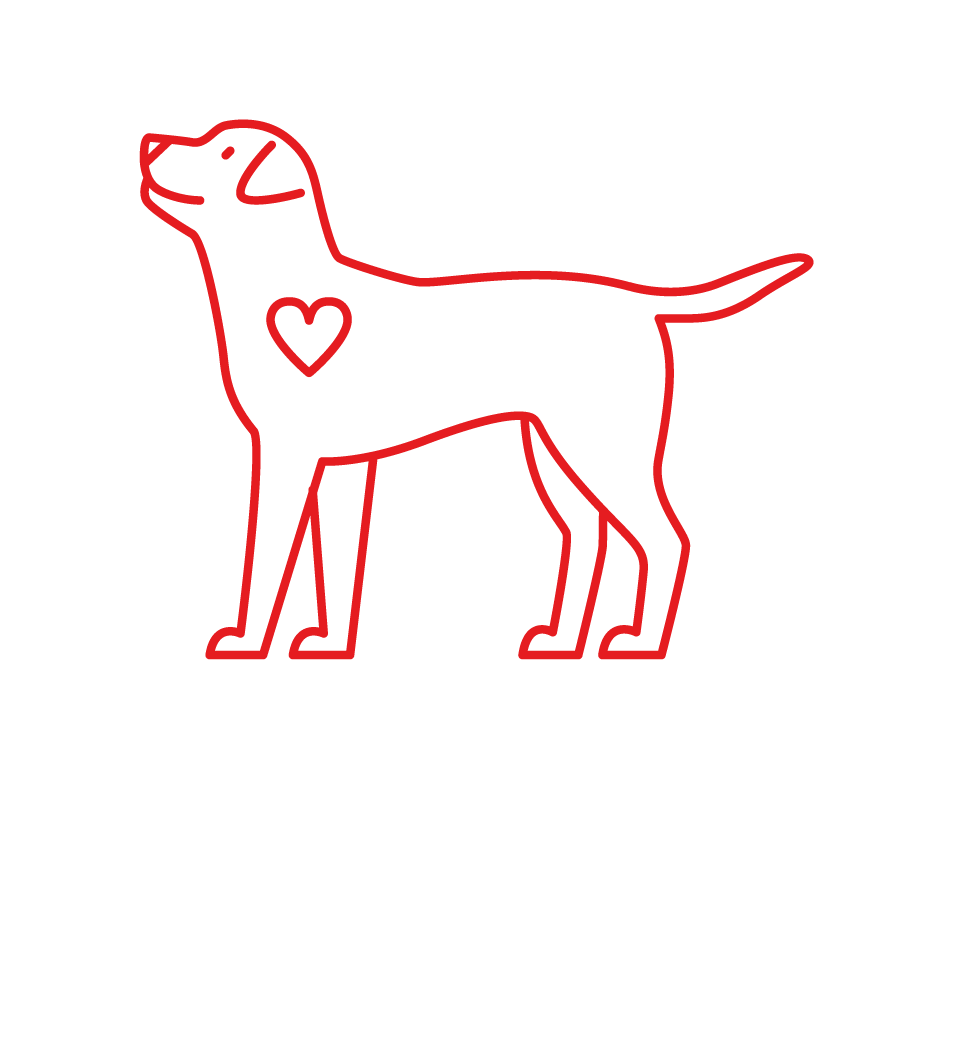 Not tested on animals