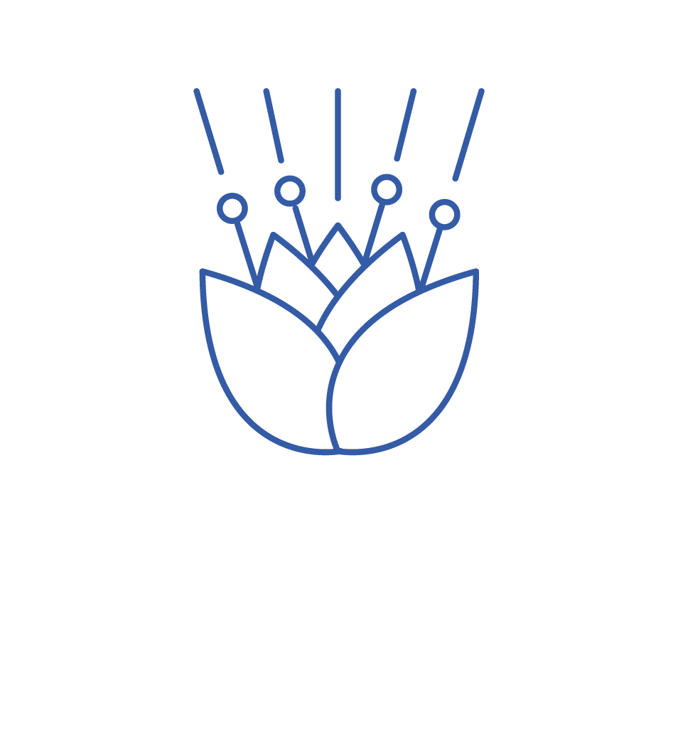 Corn, dairy and casein free